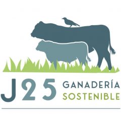 J25